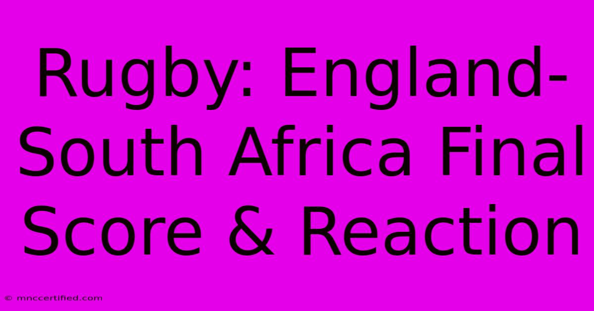 Rugby: England-South Africa Final Score & Reaction