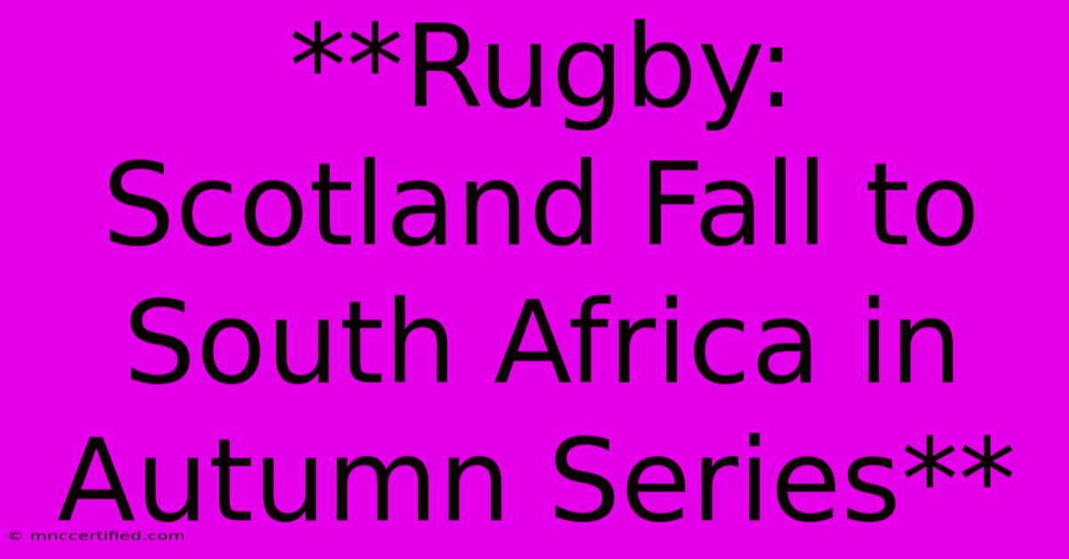 **Rugby: Scotland Fall To South Africa In Autumn Series** 