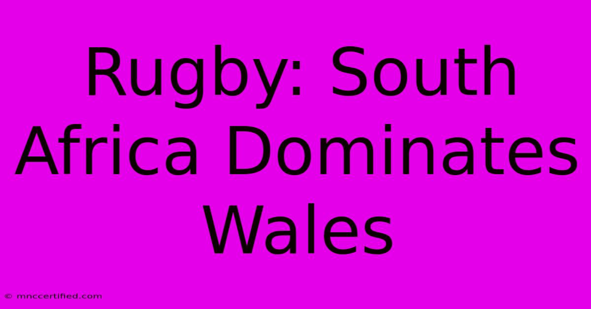 Rugby: South Africa Dominates Wales