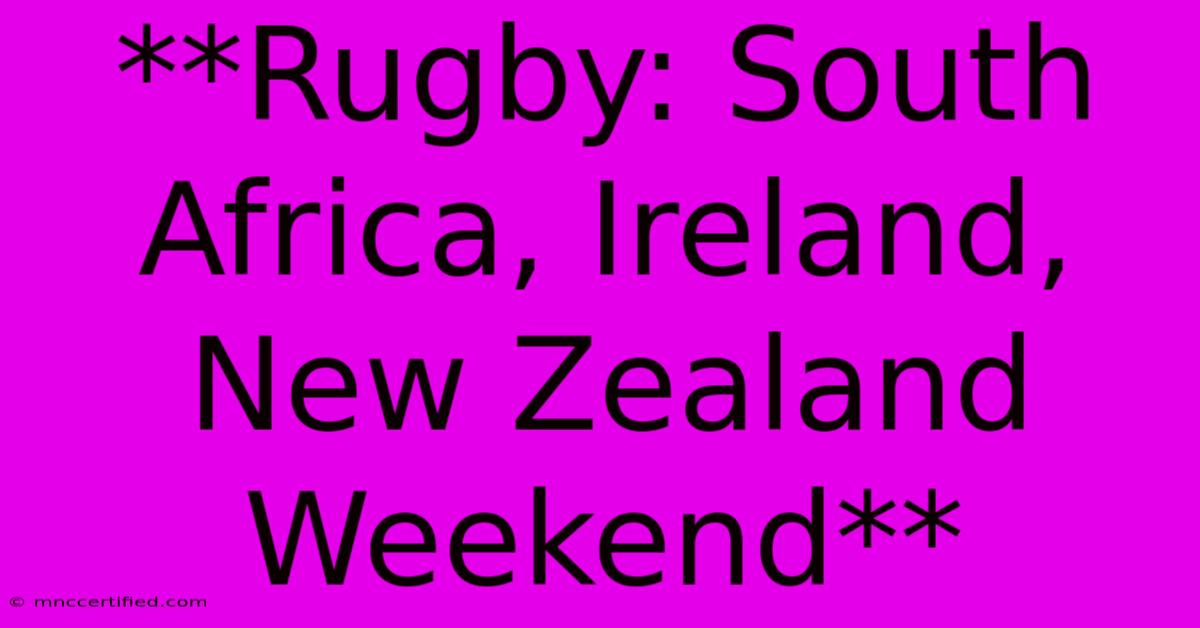 **Rugby: South Africa, Ireland, New Zealand Weekend**