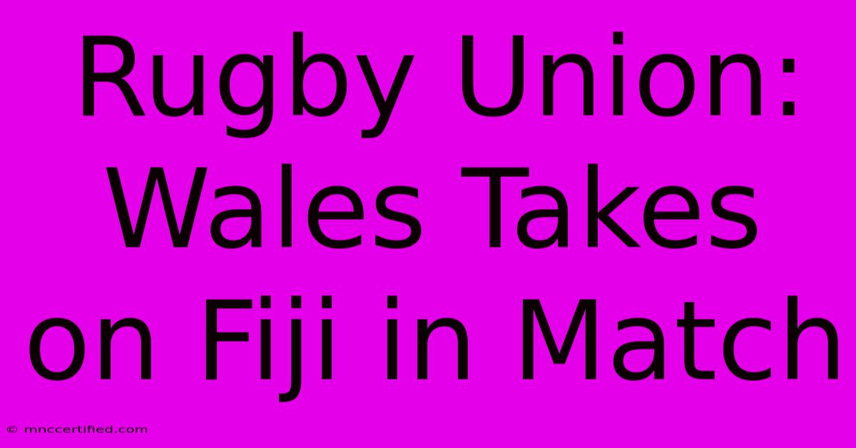 Rugby Union: Wales Takes On Fiji In Match