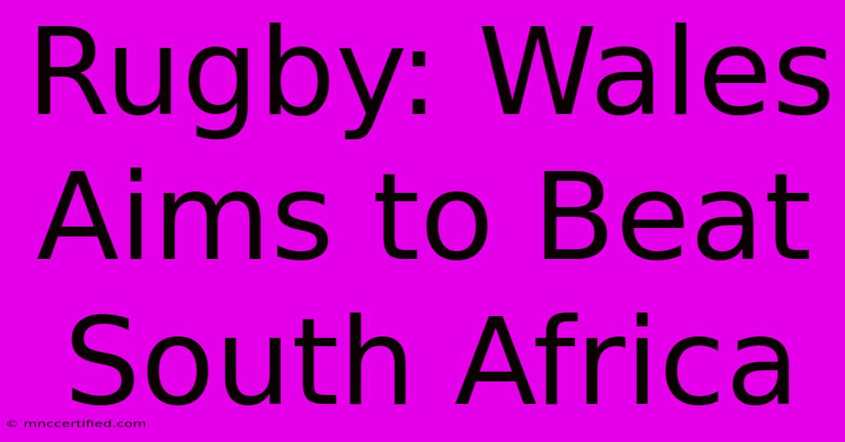 Rugby: Wales Aims To Beat South Africa