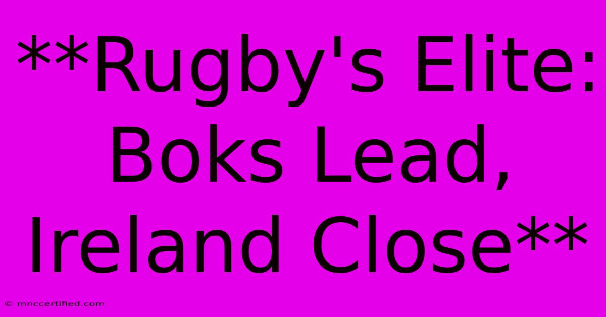 **Rugby's Elite: Boks Lead, Ireland Close**