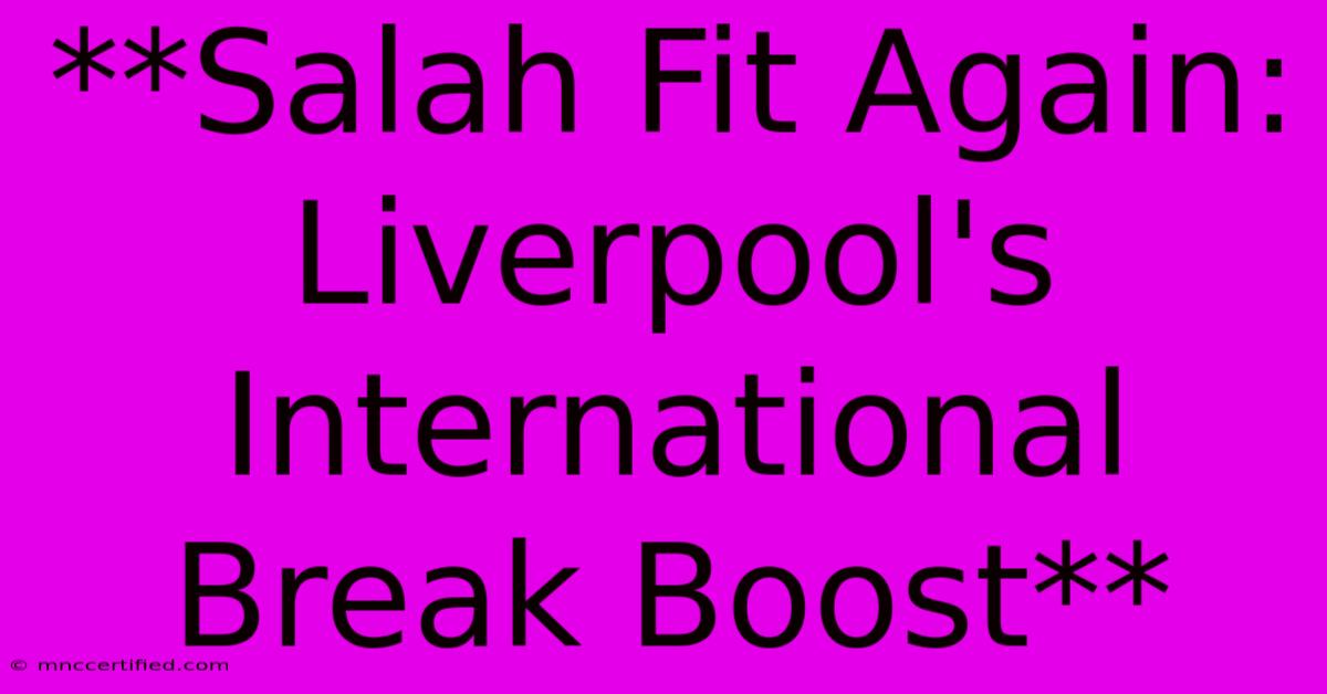 **Salah Fit Again: Liverpool's International Break Boost** 