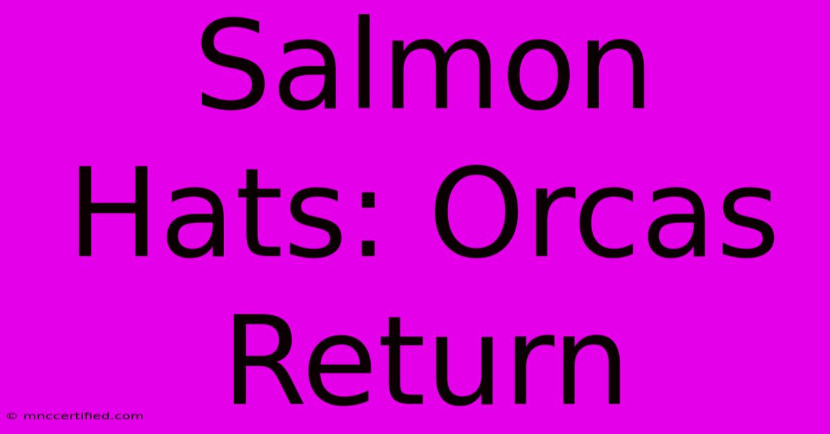 Salmon Hats: Orcas Return