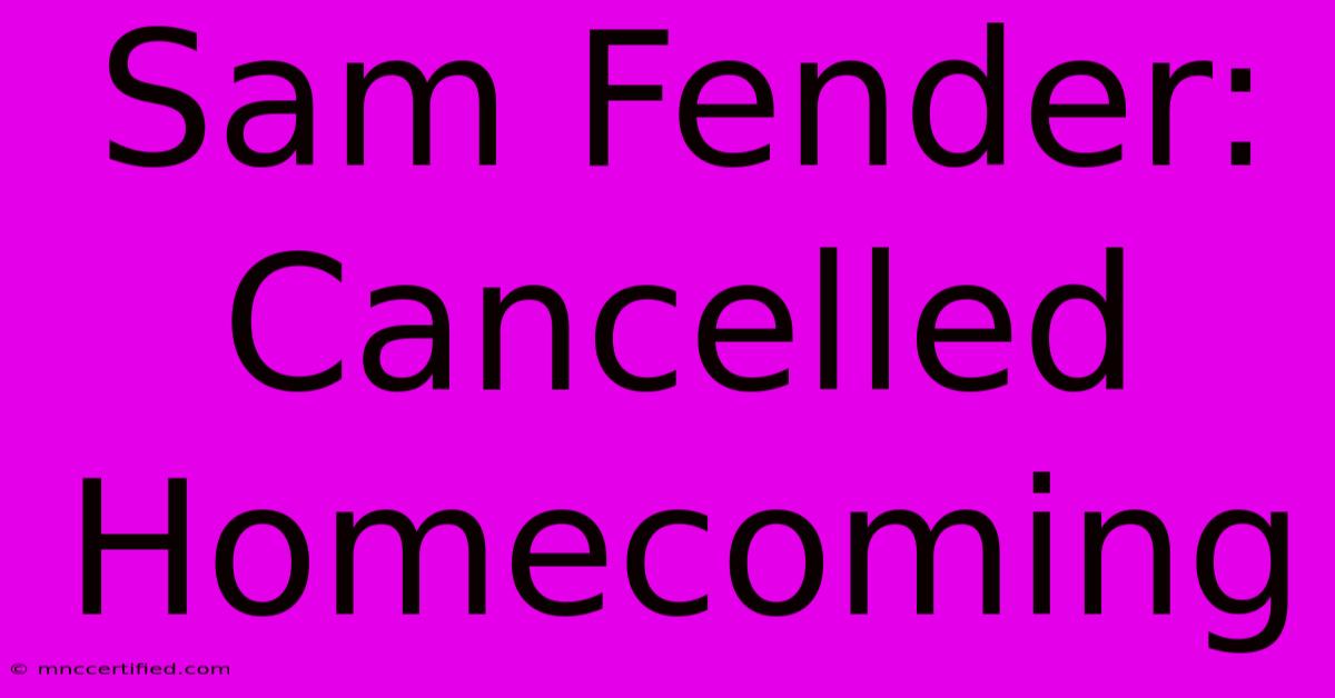 Sam Fender: Cancelled Homecoming