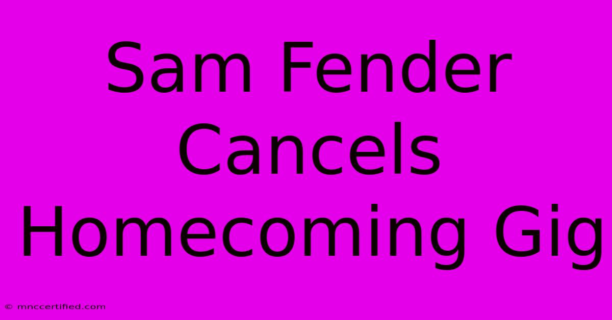 Sam Fender Cancels Homecoming Gig