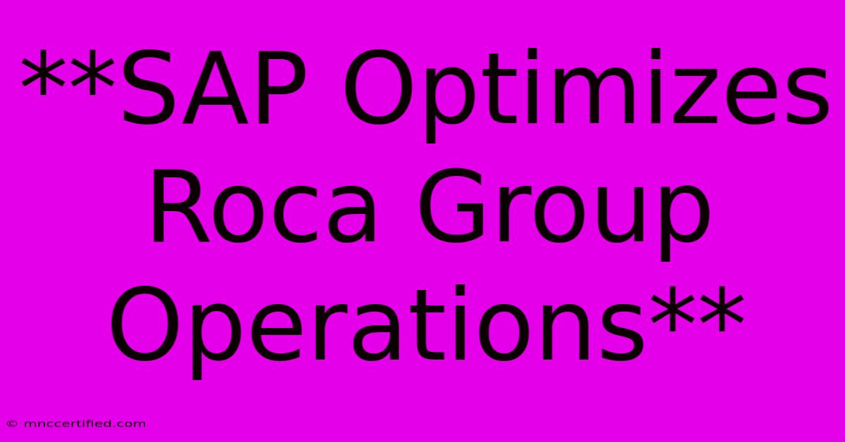 **SAP Optimizes Roca Group Operations**