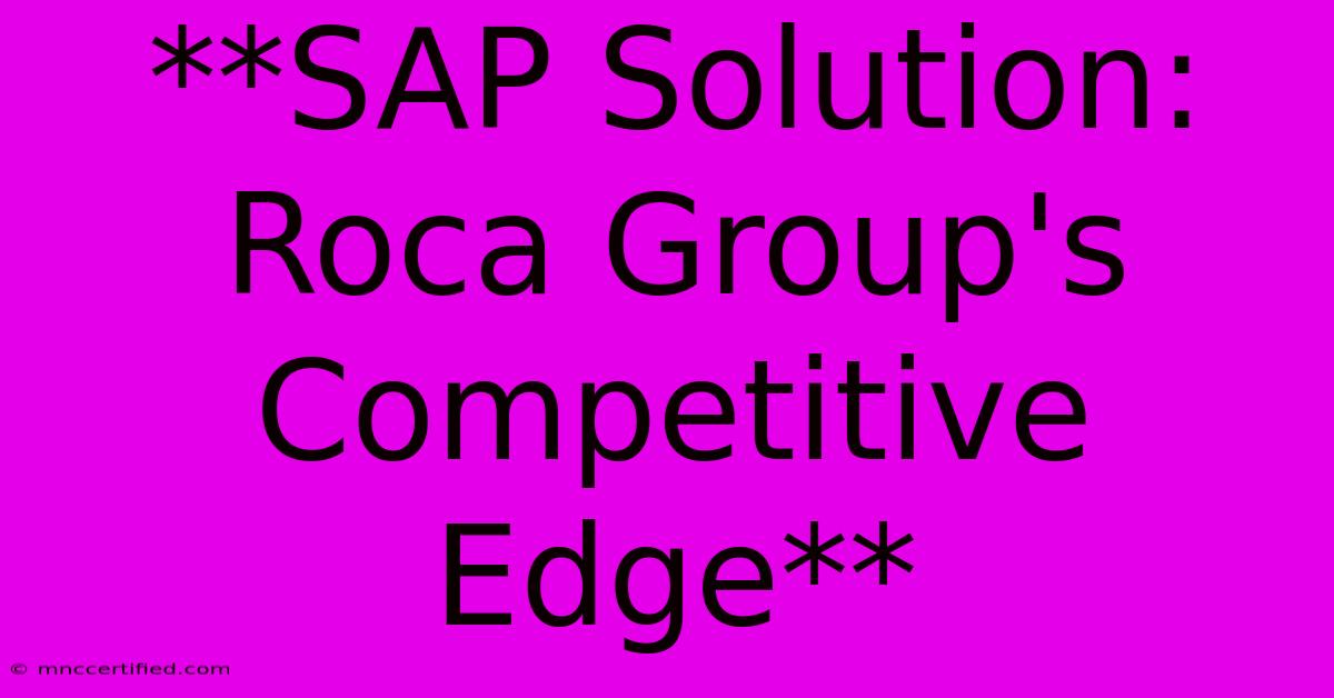 **SAP Solution: Roca Group's Competitive Edge** 