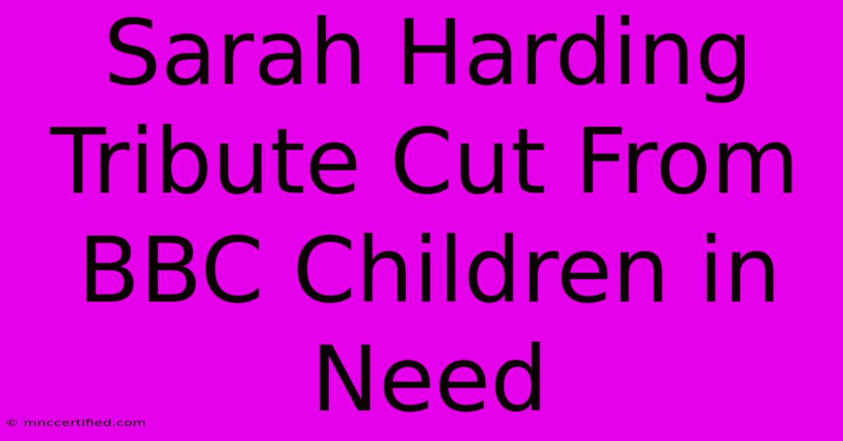 Sarah Harding Tribute Cut From BBC Children In Need