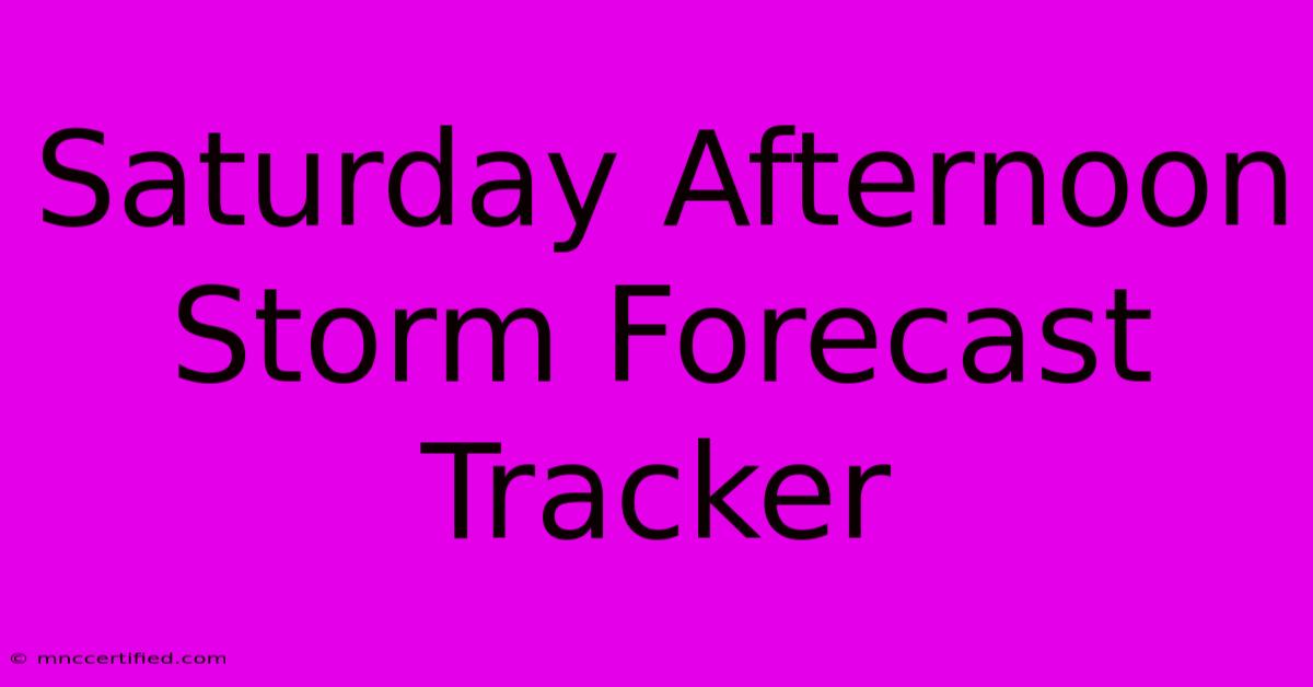 Saturday Afternoon Storm Forecast Tracker