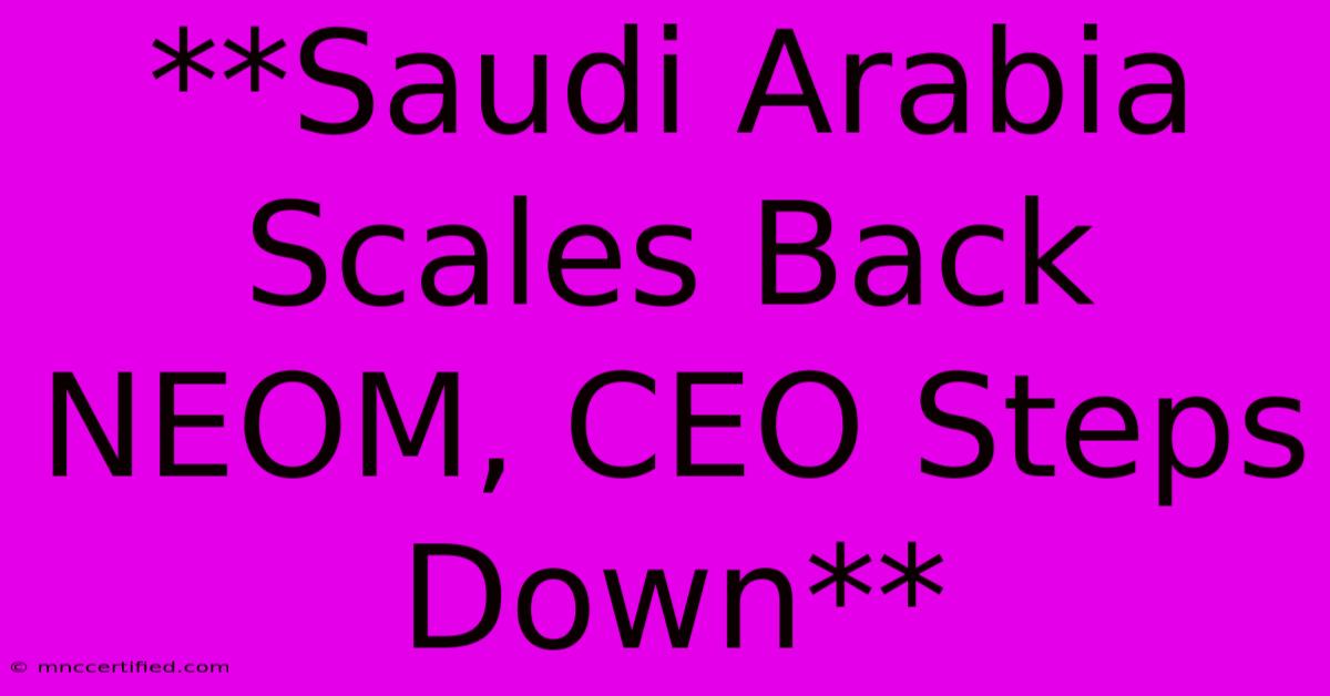 **Saudi Arabia Scales Back NEOM, CEO Steps Down**