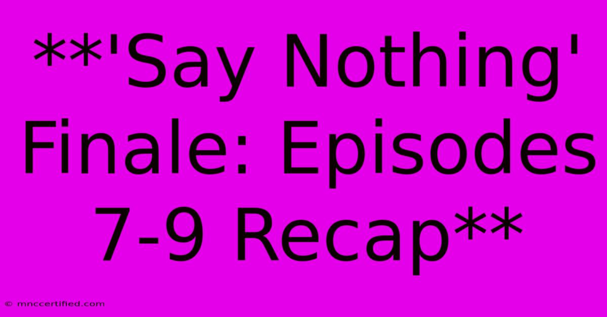 **'Say Nothing' Finale: Episodes 7-9 Recap**