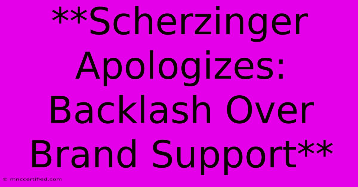 **Scherzinger Apologizes: Backlash Over Brand Support**