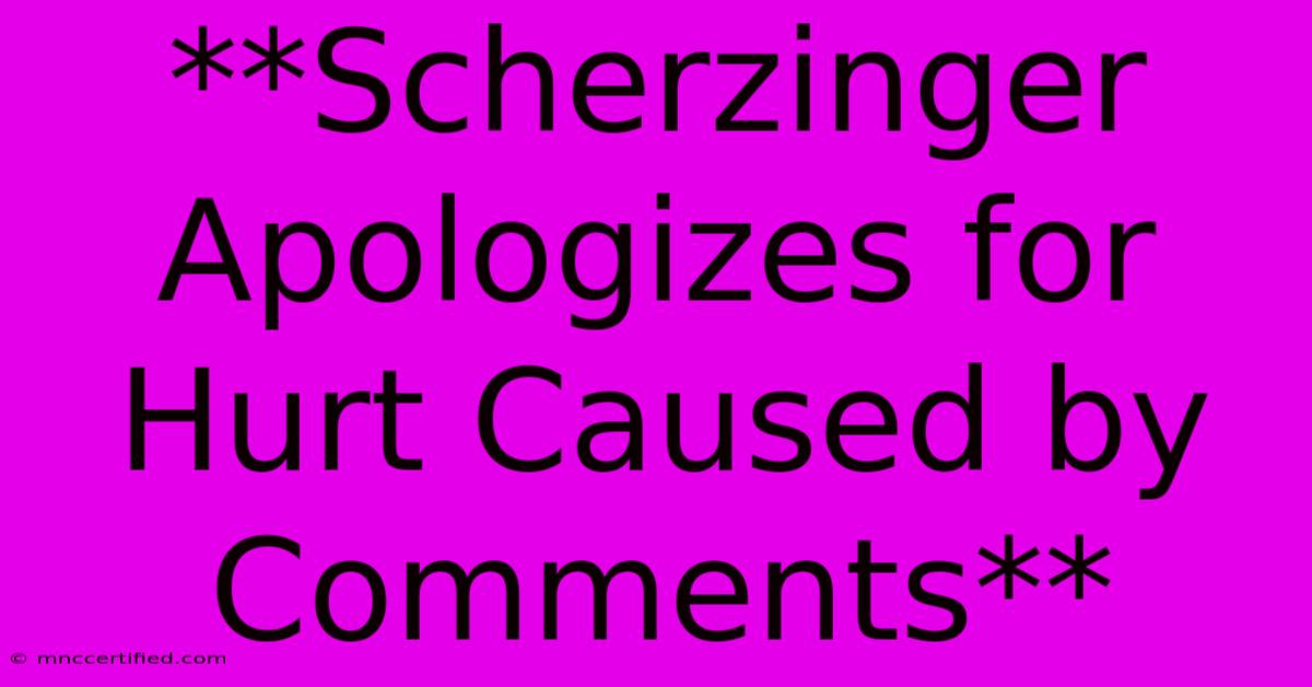 **Scherzinger Apologizes For Hurt Caused By Comments**