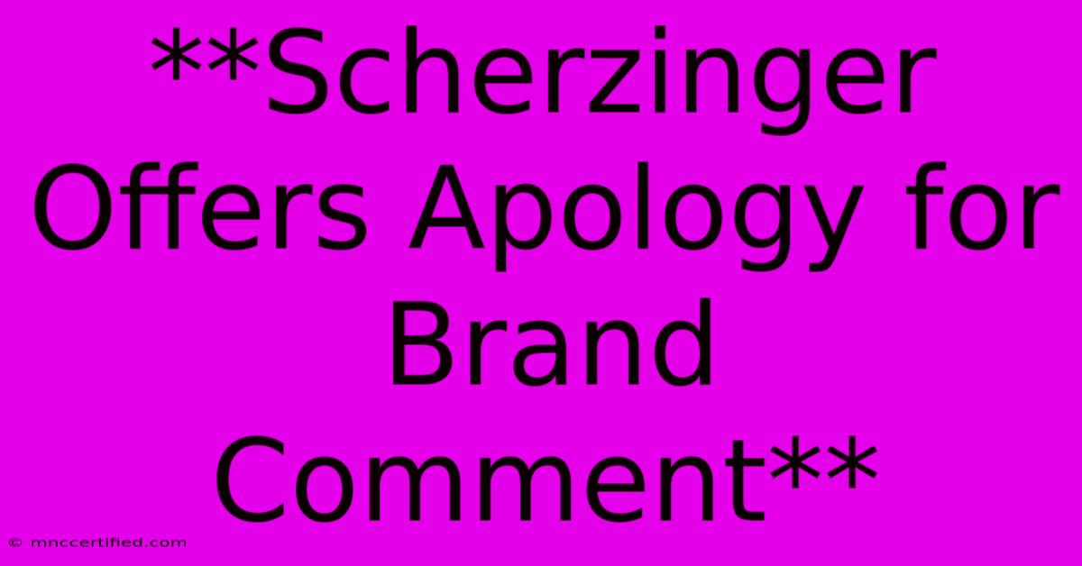 **Scherzinger Offers Apology For Brand Comment**