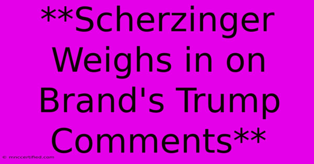 **Scherzinger Weighs In On Brand's Trump Comments**