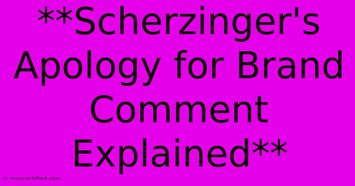 **Scherzinger's Apology For Brand Comment Explained**