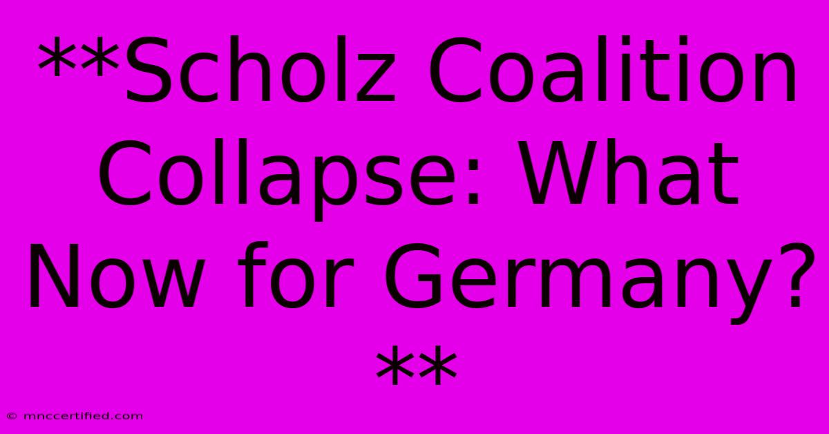 **Scholz Coalition Collapse: What Now For Germany?** 