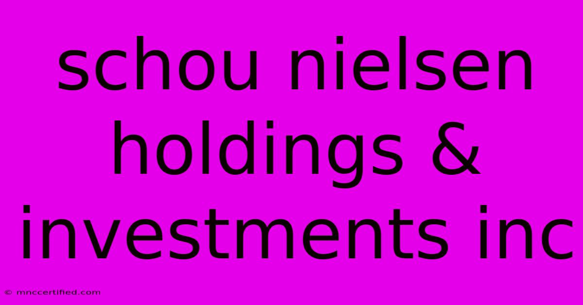 Schou Nielsen Holdings & Investments Inc