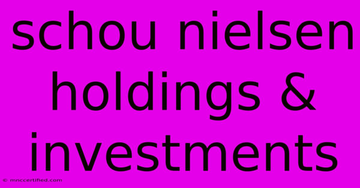 Schou Nielsen Holdings & Investments