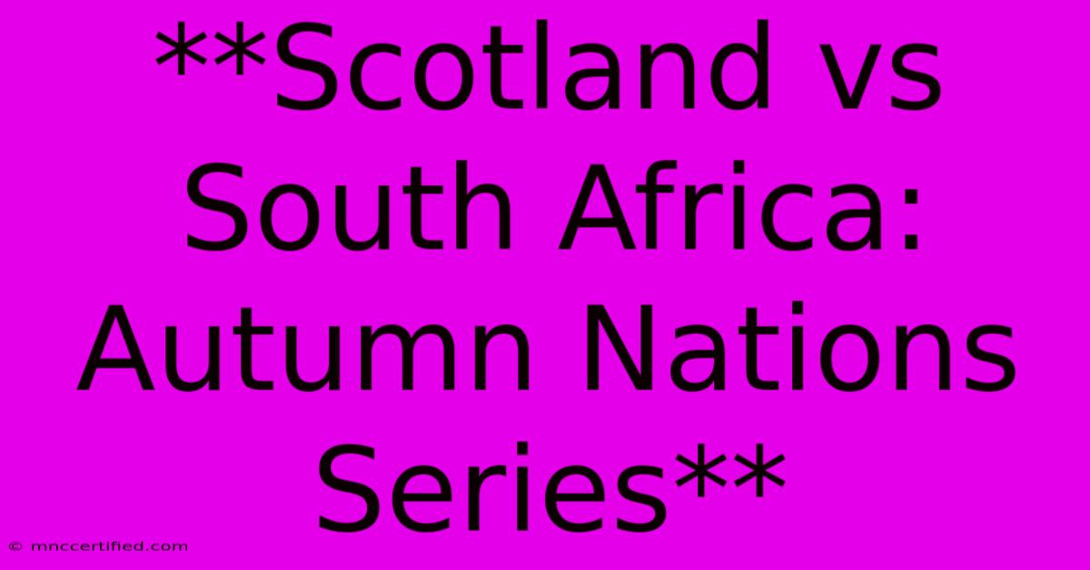 **Scotland Vs South Africa: Autumn Nations Series**