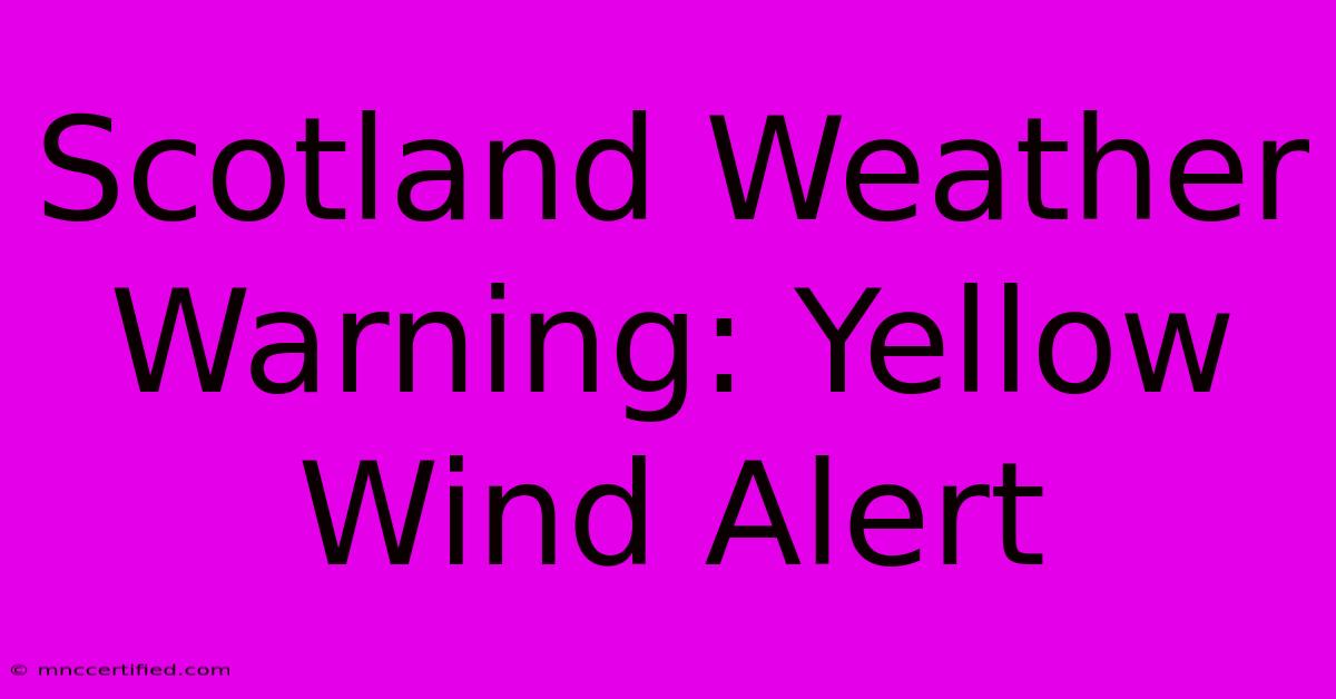 Scotland Weather Warning: Yellow Wind Alert