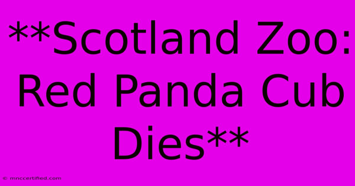 **Scotland Zoo: Red Panda Cub Dies**