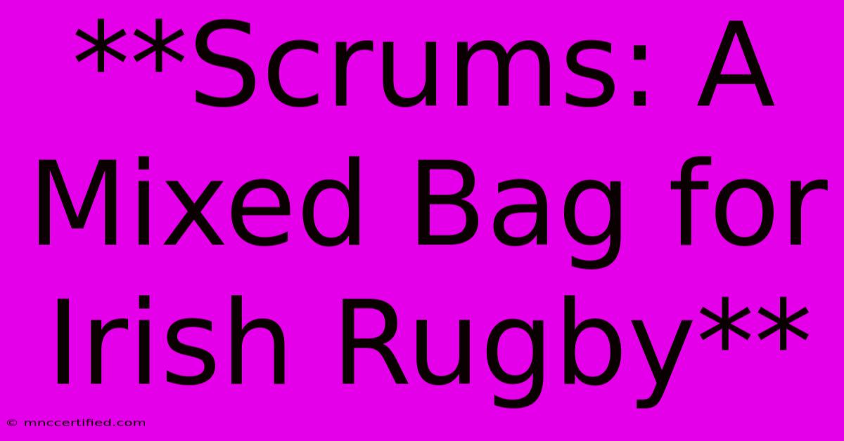 **Scrums: A Mixed Bag For Irish Rugby**