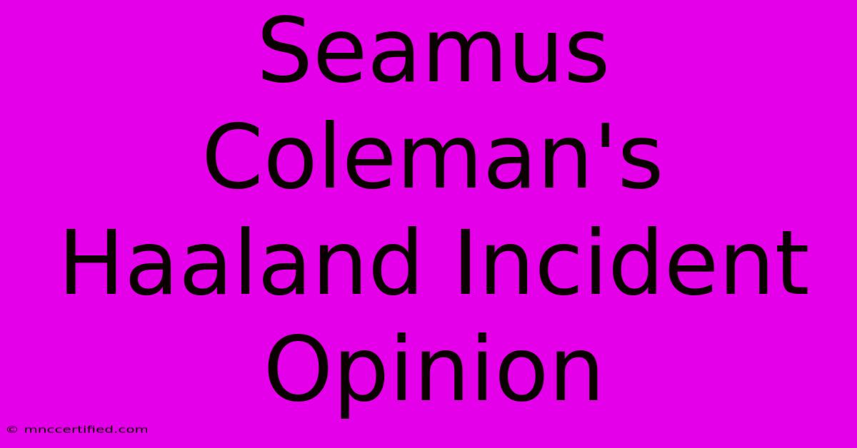 Seamus Coleman's Haaland Incident Opinion