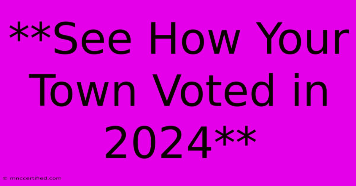 **See How Your Town Voted In 2024** 