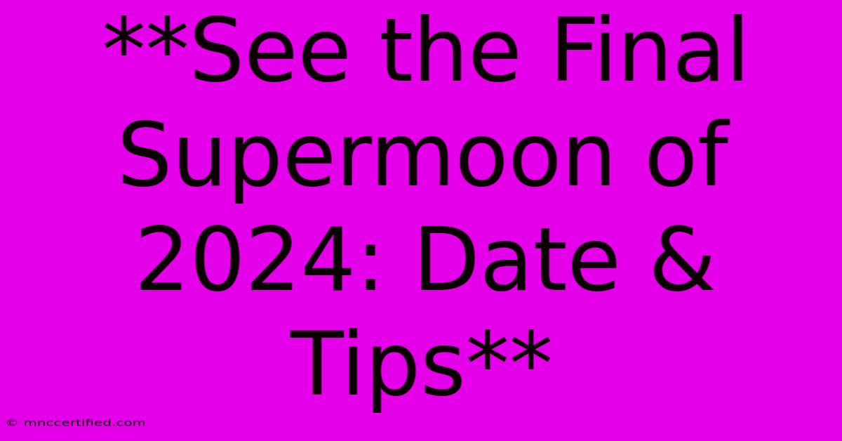 **See The Final Supermoon Of 2024: Date & Tips**