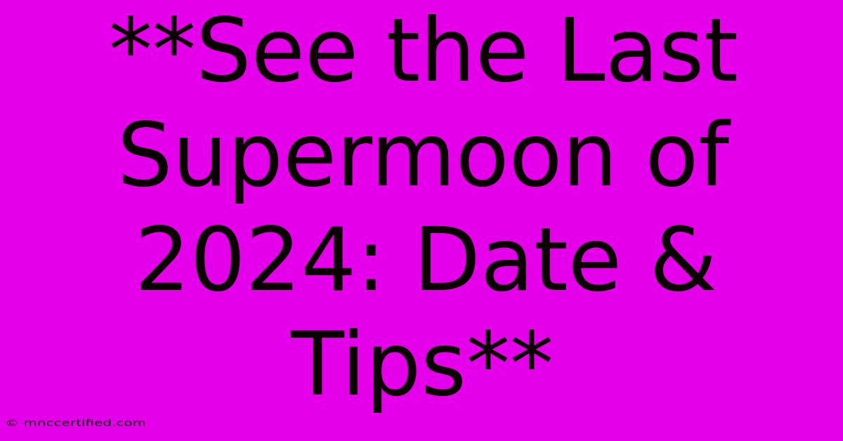 **See The Last Supermoon Of 2024: Date & Tips**