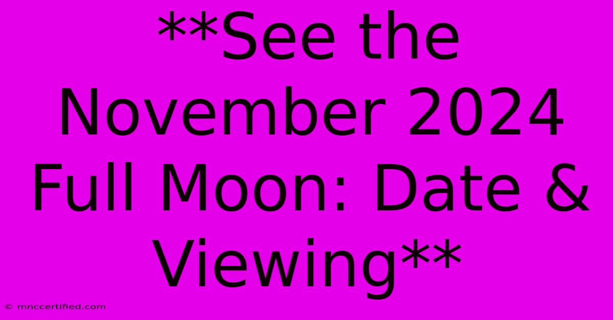 **See The November 2024 Full Moon: Date & Viewing**