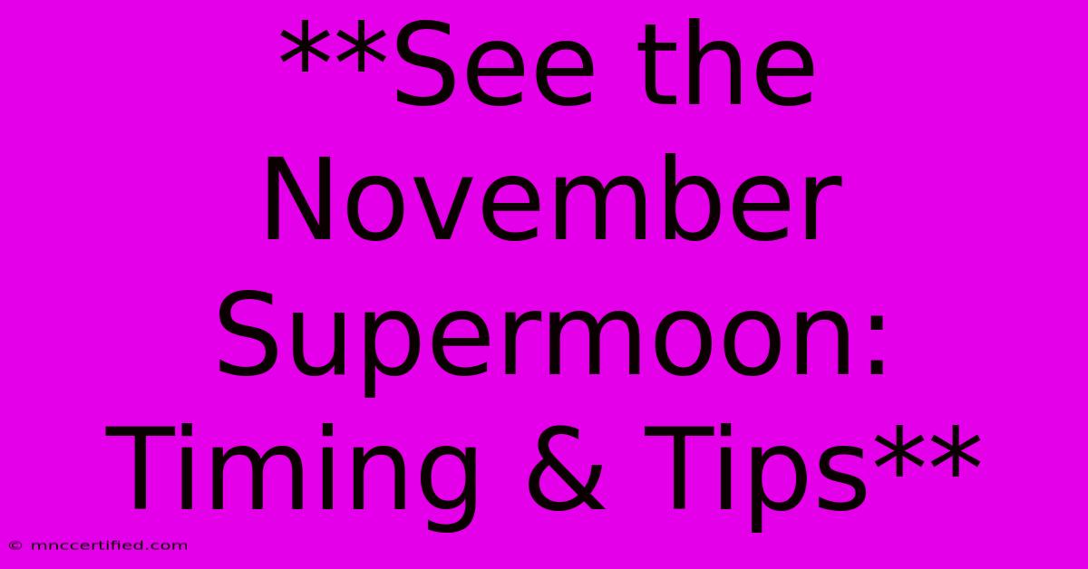 **See The November Supermoon: Timing & Tips**