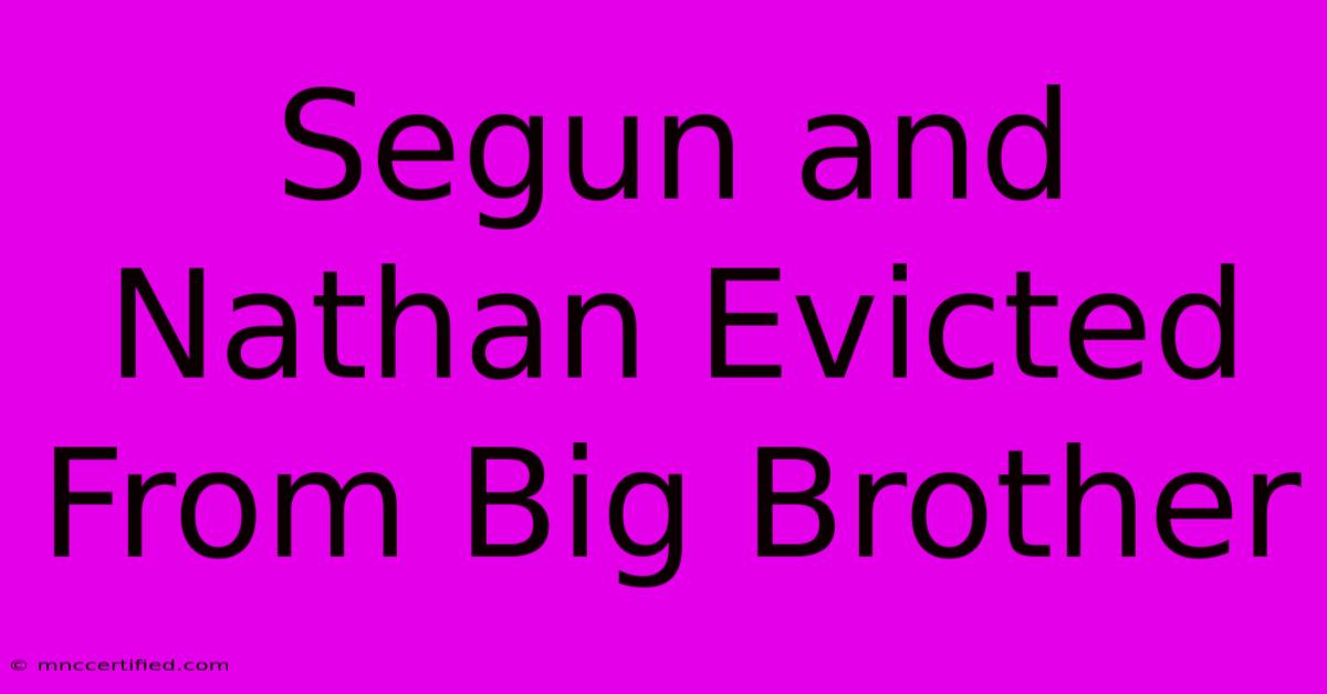 Segun And Nathan Evicted From Big Brother