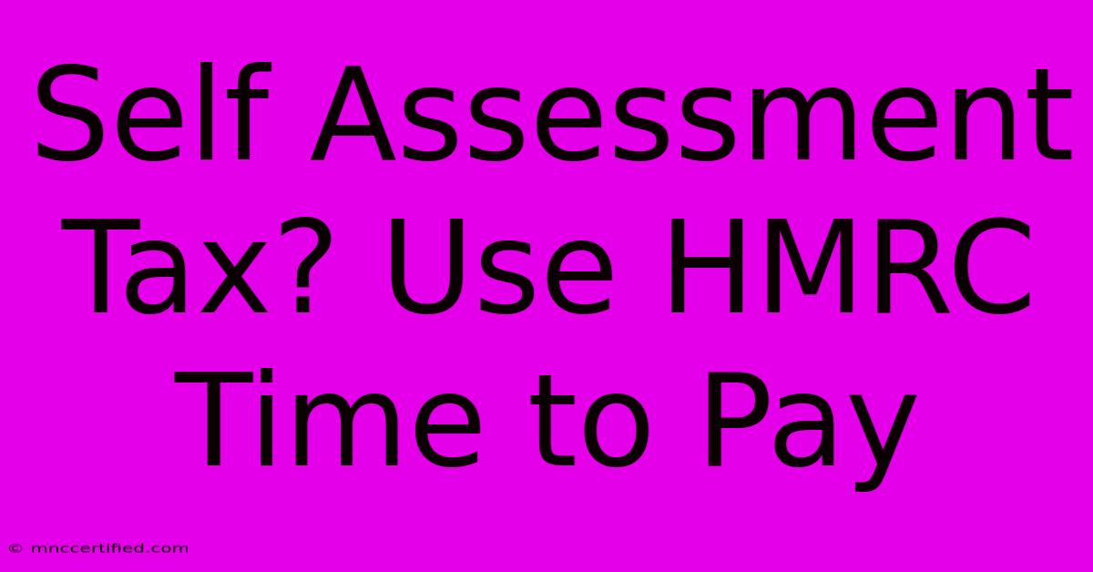 Self Assessment Tax? Use HMRC Time To Pay