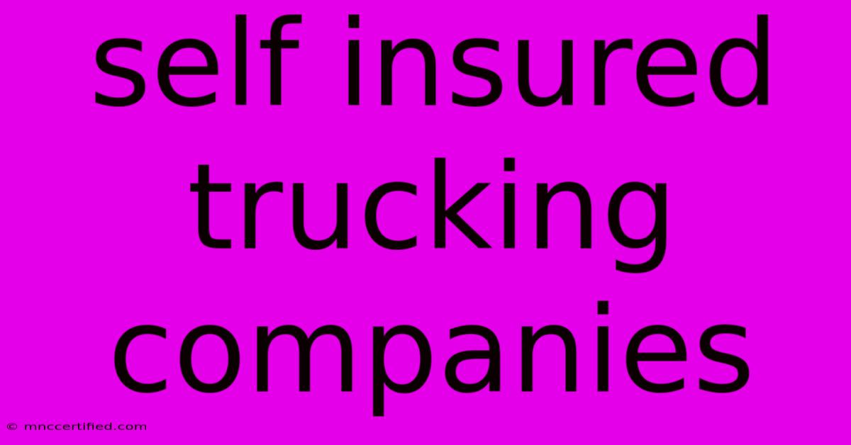 Self Insured Trucking Companies