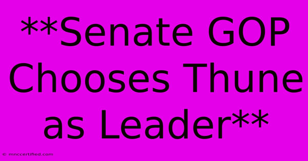 **Senate GOP Chooses Thune As Leader**