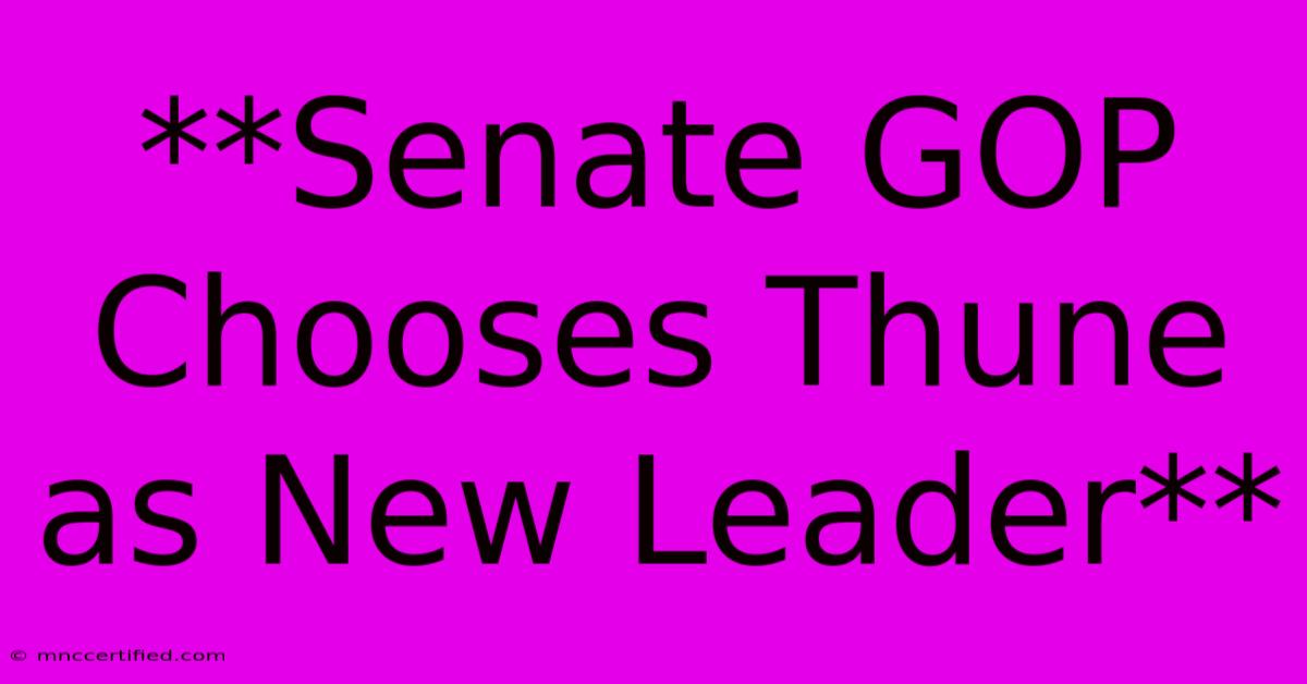 **Senate GOP Chooses Thune As New Leader**