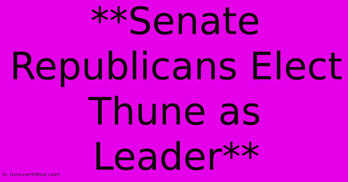 **Senate Republicans Elect Thune As Leader** 