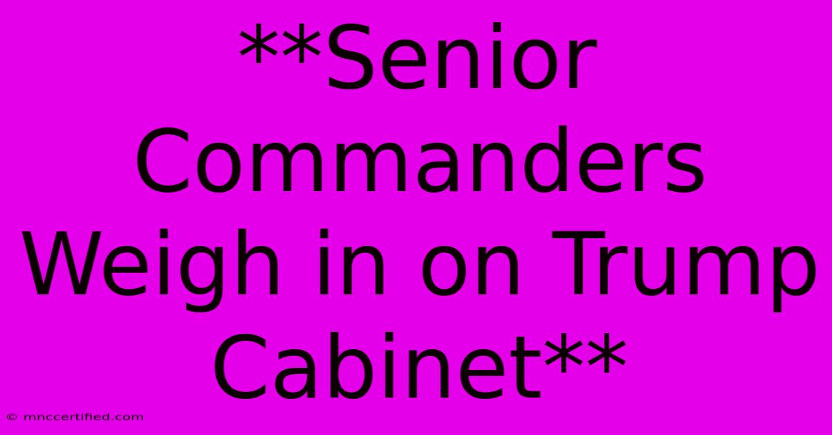 **Senior Commanders Weigh In On Trump Cabinet**