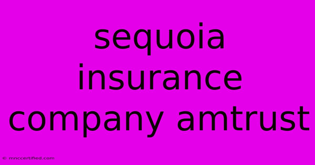 Sequoia Insurance Company Amtrust