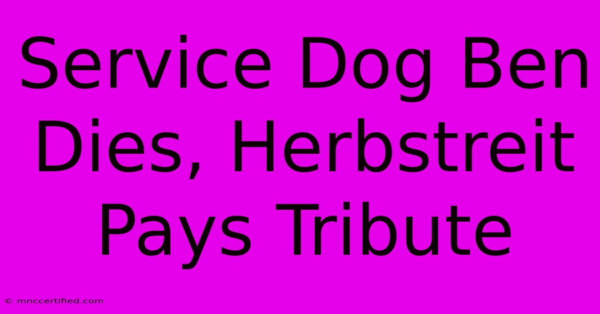 Service Dog Ben Dies, Herbstreit Pays Tribute 