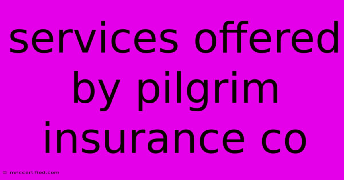 Services Offered By Pilgrim Insurance Co