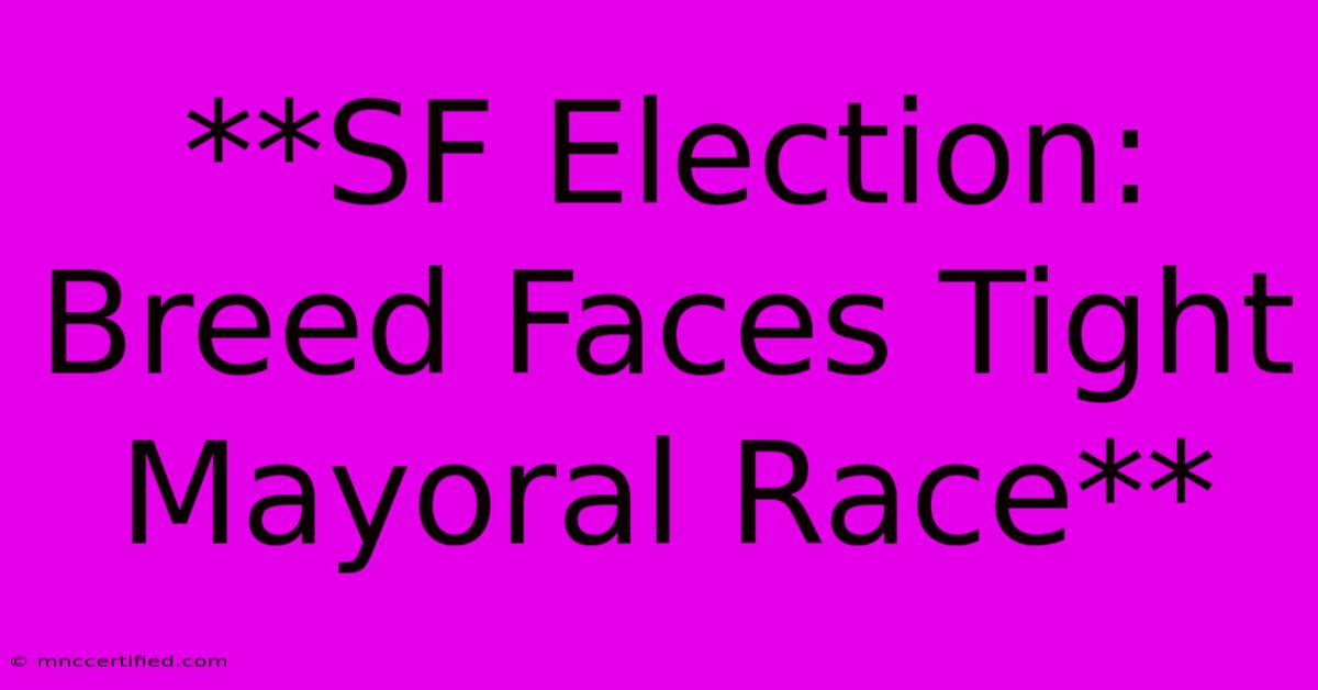 **SF Election: Breed Faces Tight Mayoral Race**