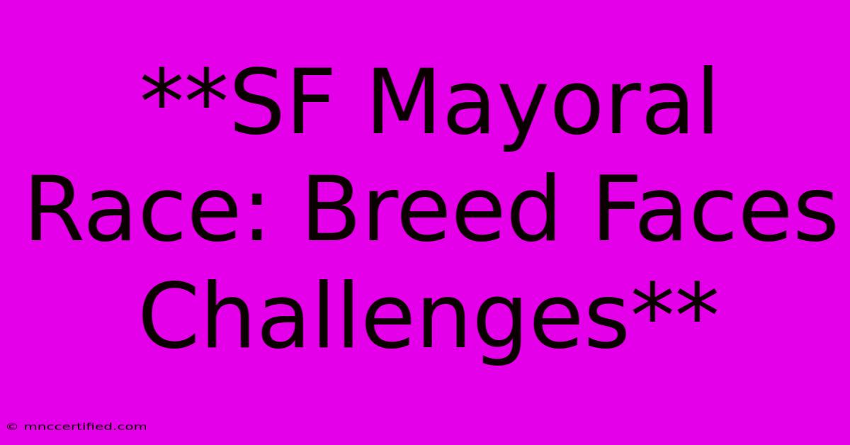 **SF Mayoral Race: Breed Faces Challenges**