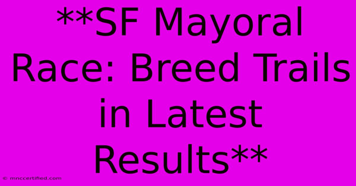 **SF Mayoral Race: Breed Trails In Latest Results** 