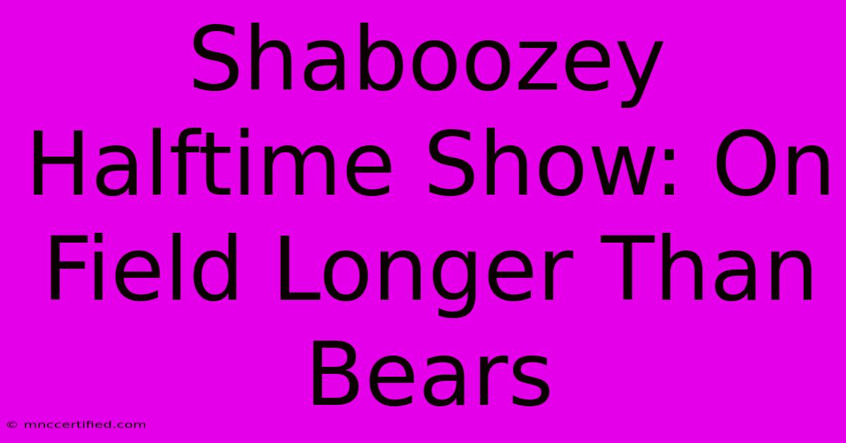 Shaboozey Halftime Show: On Field Longer Than Bears