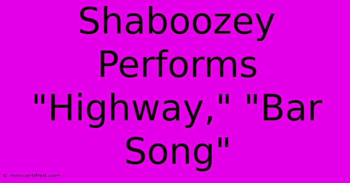 Shaboozey Performs 